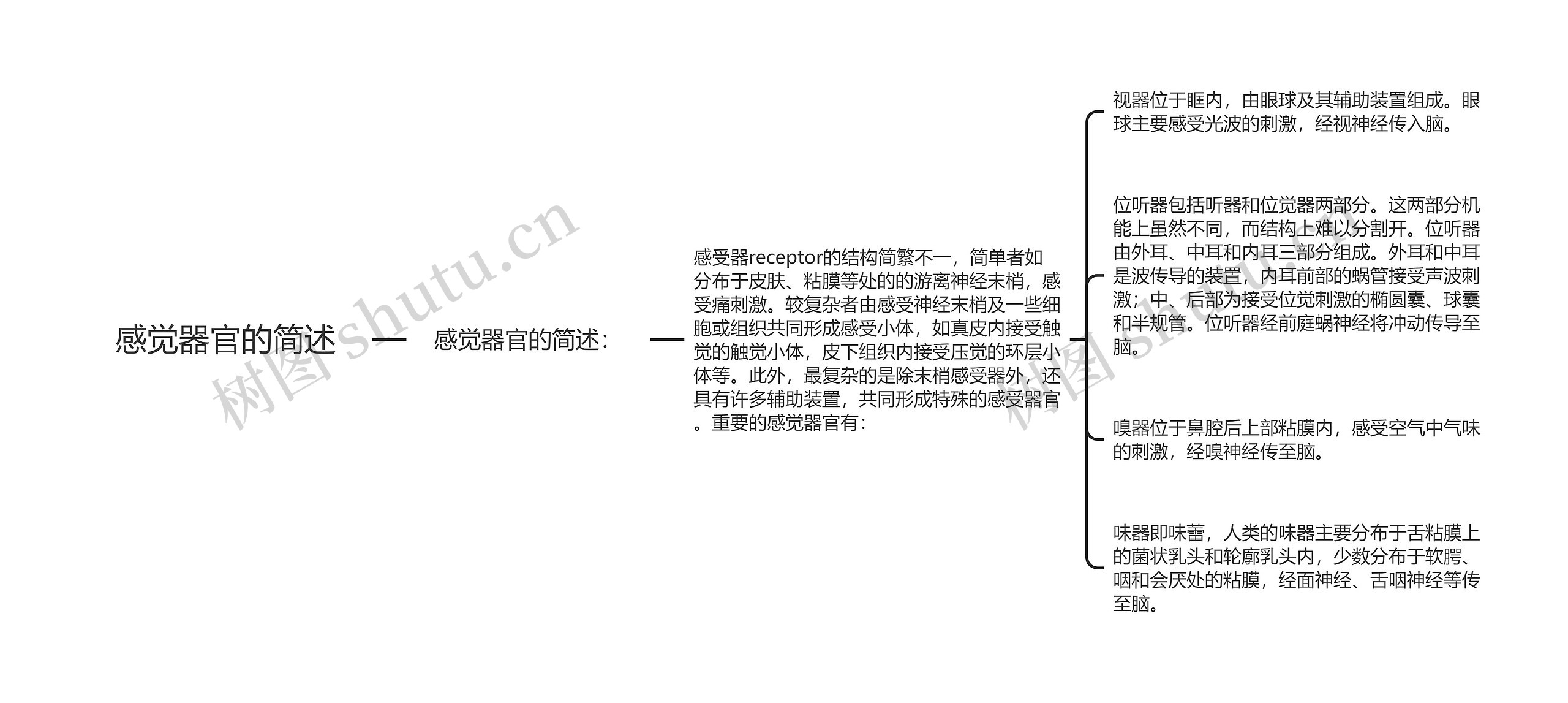 感觉器官的简述