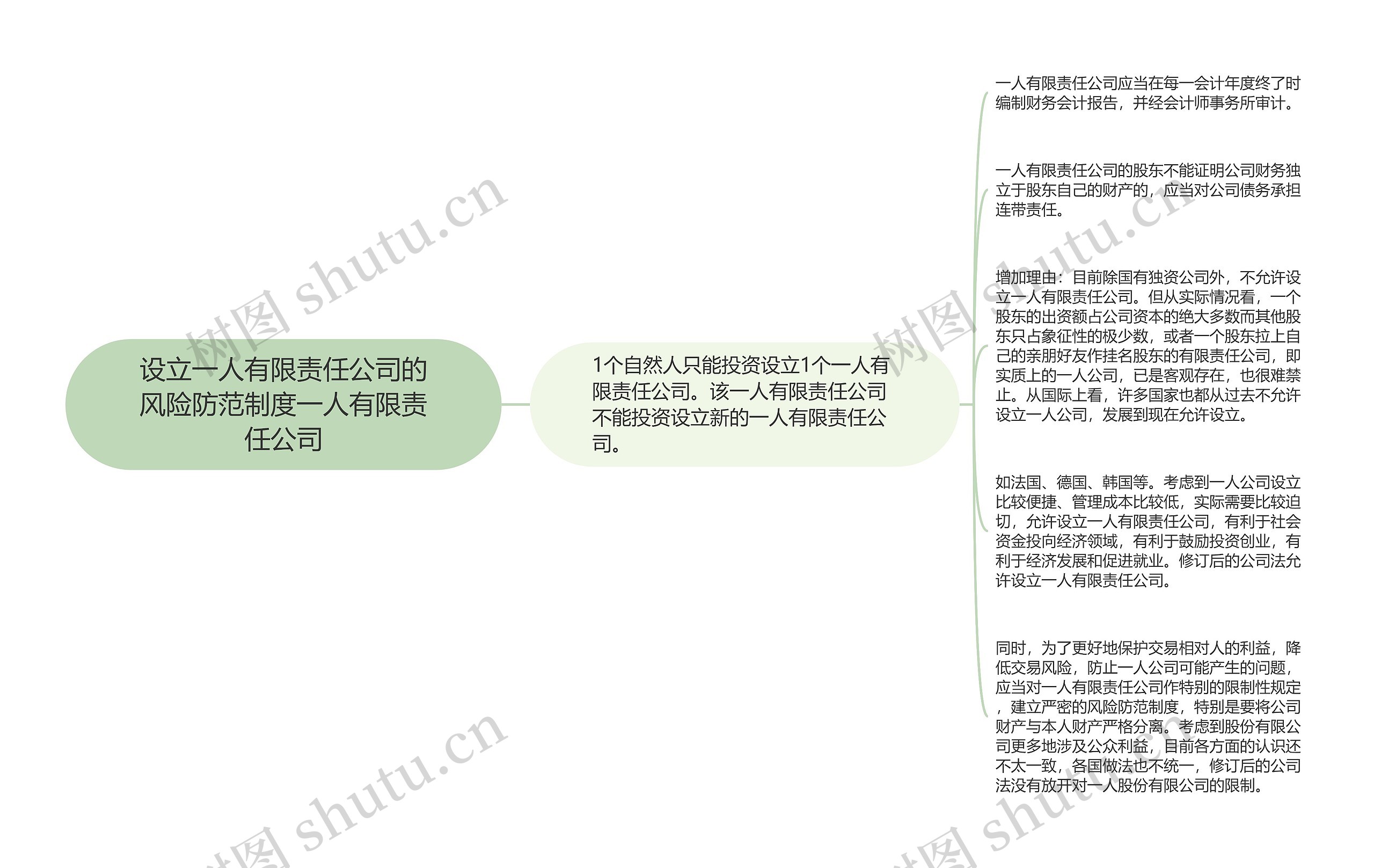 设立一人有限责任公司的风险防范制度一人有限责任公司思维导图