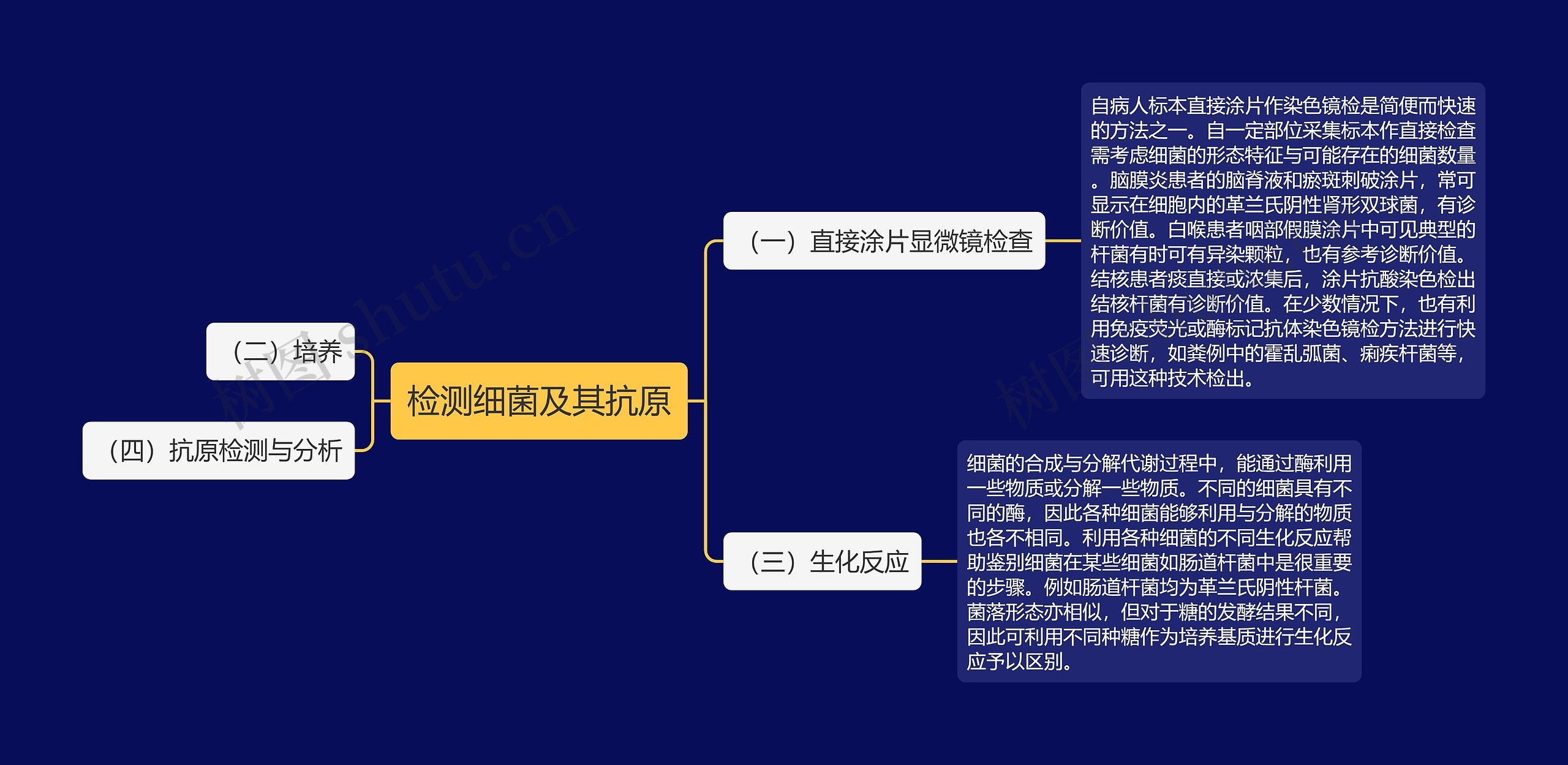 检测细菌及其抗原思维导图