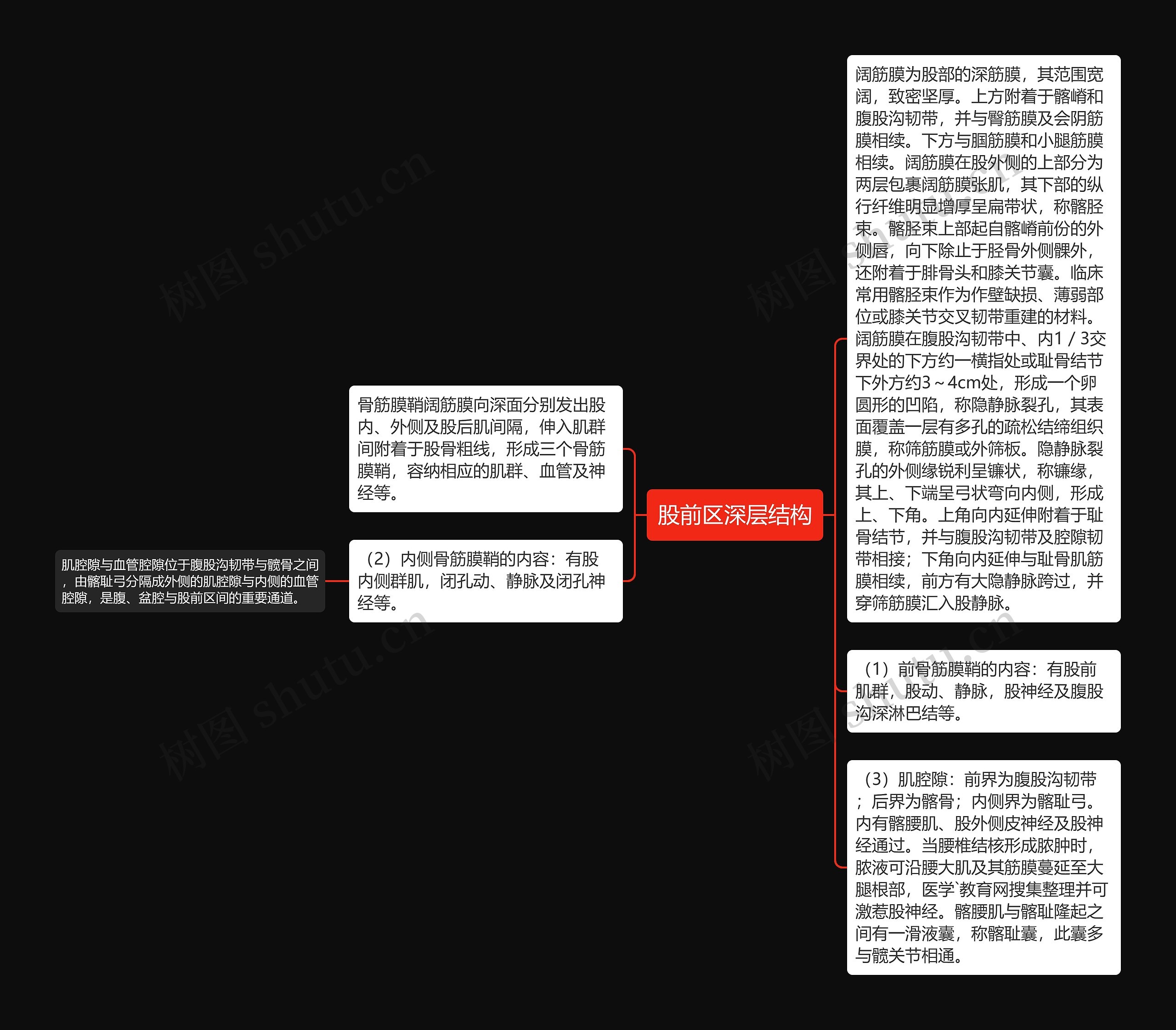 股前区深层结构思维导图