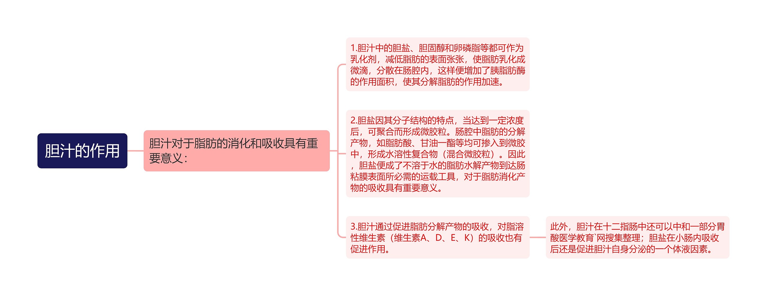 胆汁的作用思维导图