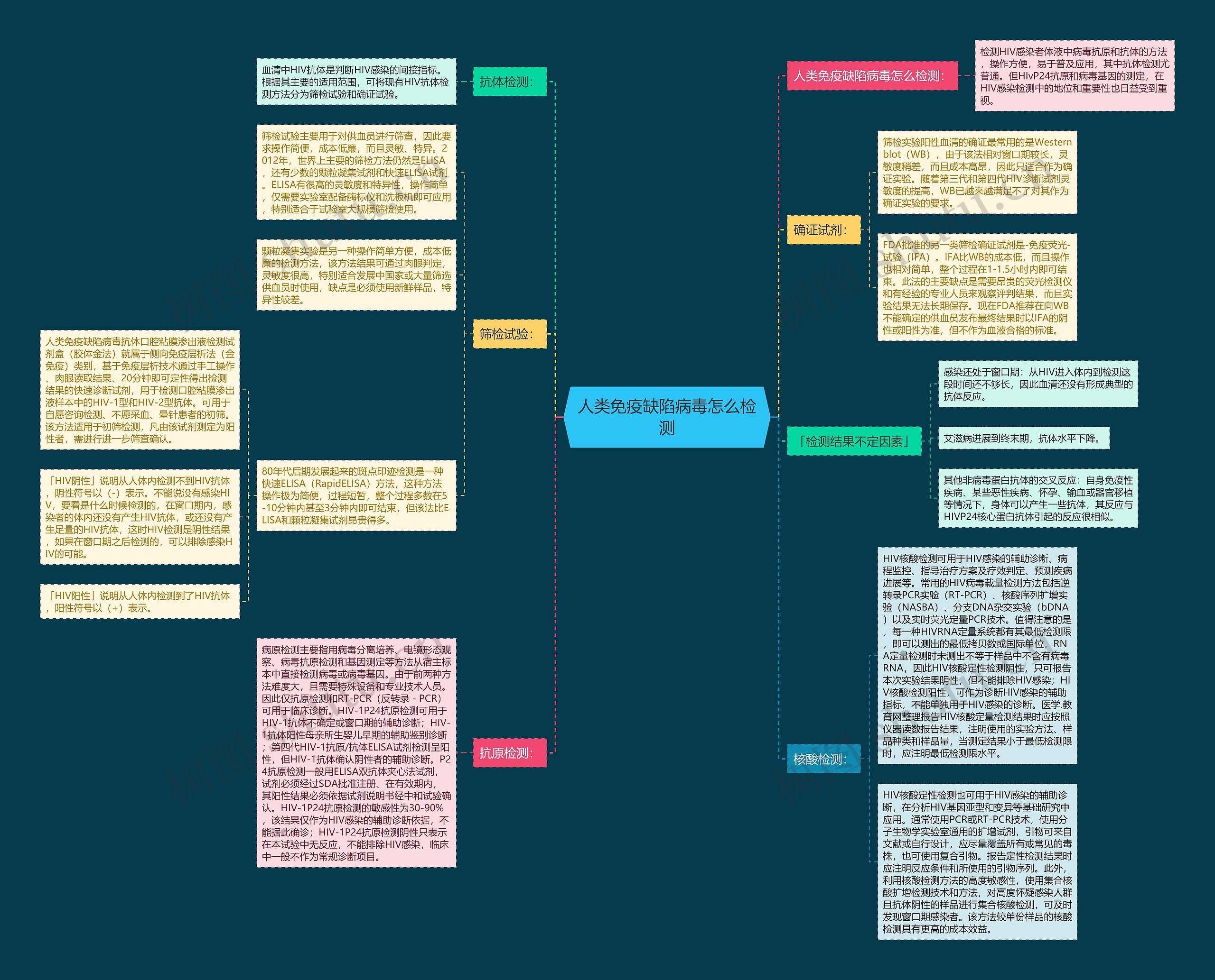 人类免疫缺陷病毒怎么检测思维导图