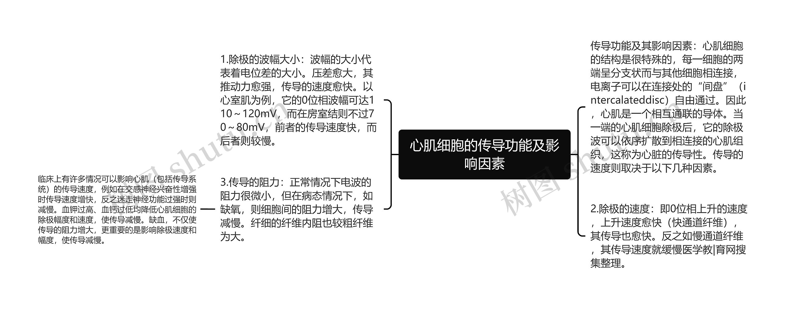 心肌细胞的传导功能及影响因素思维导图