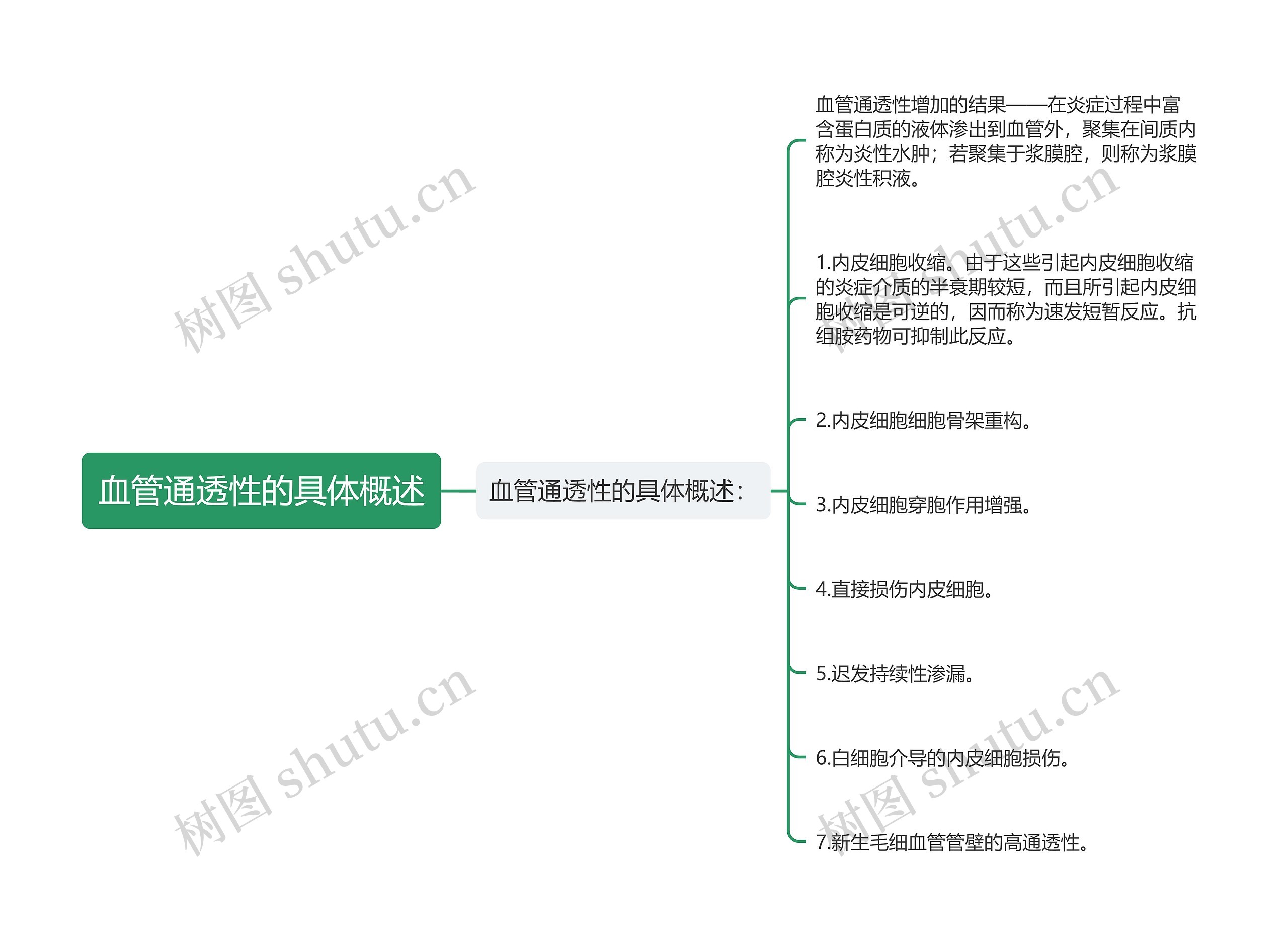 血管通透性的具体概述