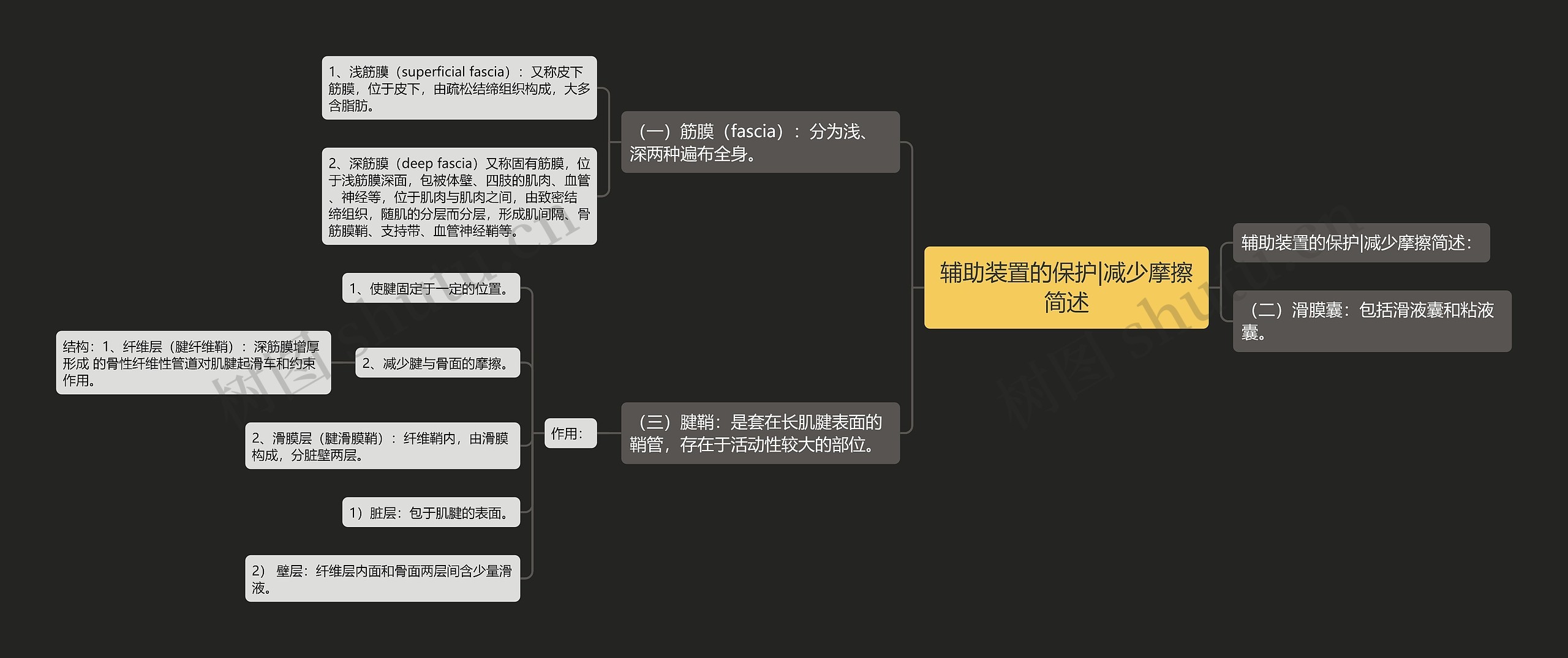 辅助装置的保护|减少摩擦简述思维导图