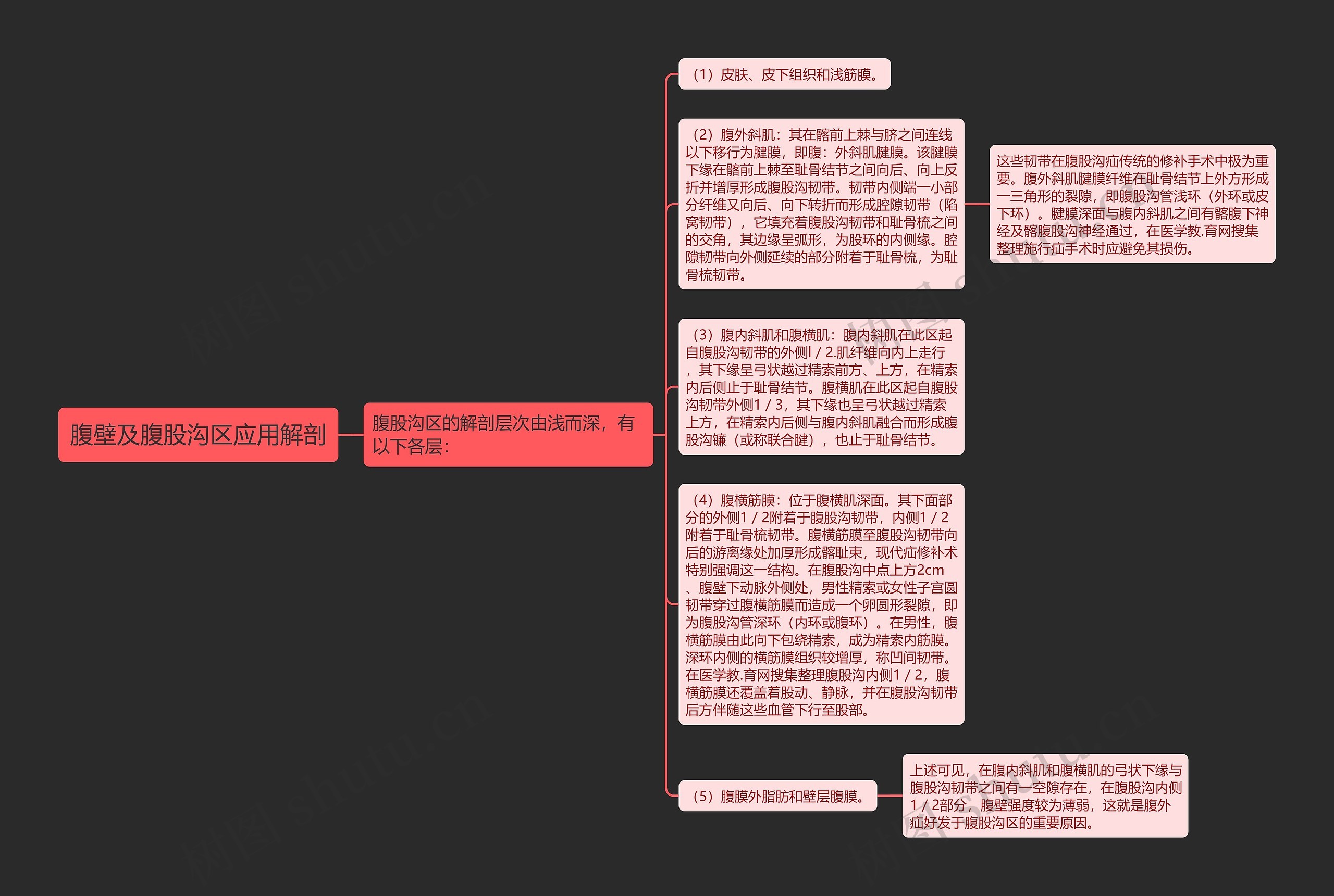 腹壁及腹股沟区应用解剖思维导图