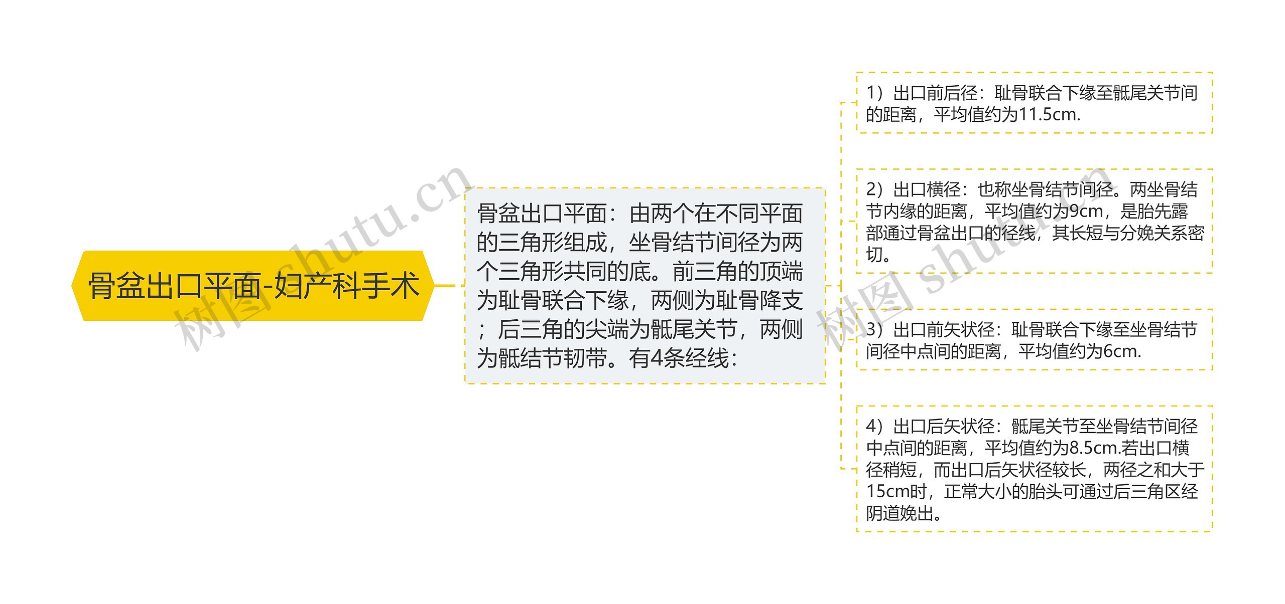 骨盆出口平面-妇产科手术思维导图