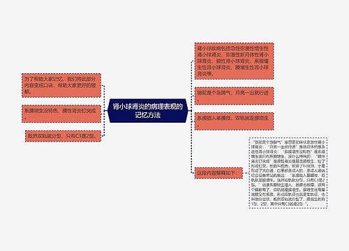 肾小球肾炎的病理表现的记忆方法