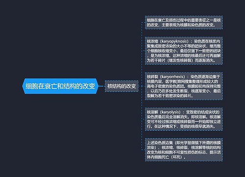 细胞在衰亡和结构的改变