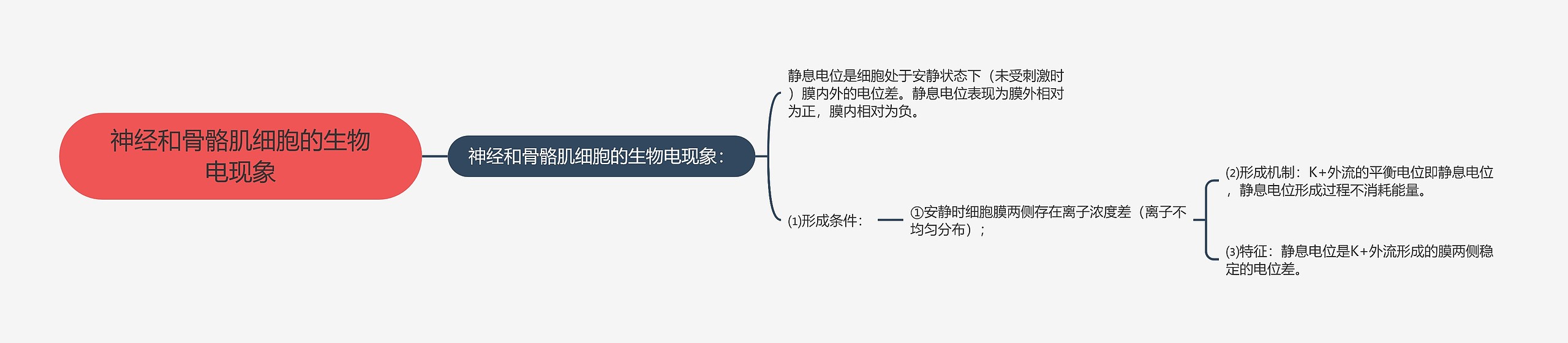 神经和骨骼肌细胞的生物电现象