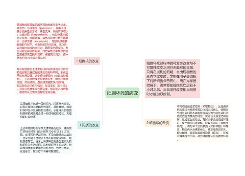 细胞坏死的病变