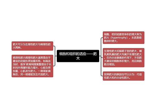 细胞和组织的适应——肥大