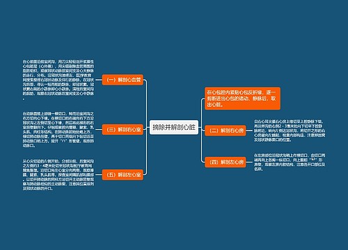 摘除并解剖心脏