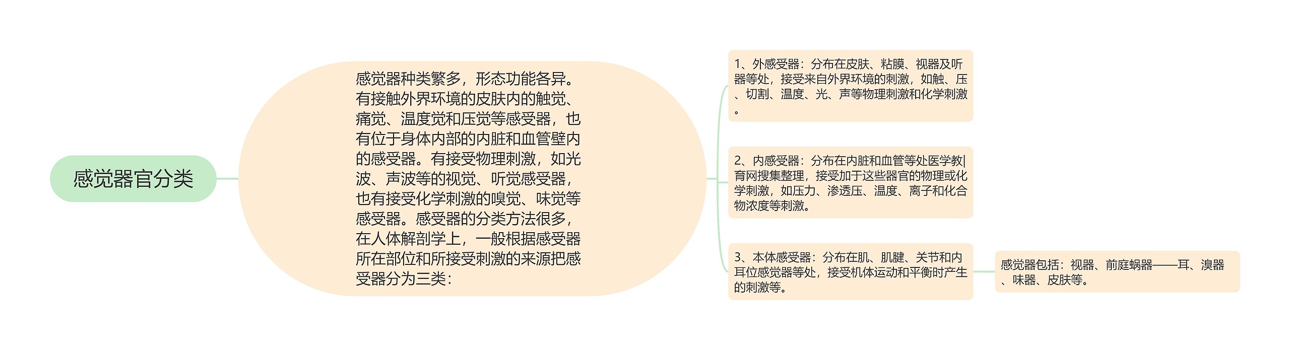 感觉器官分类思维导图