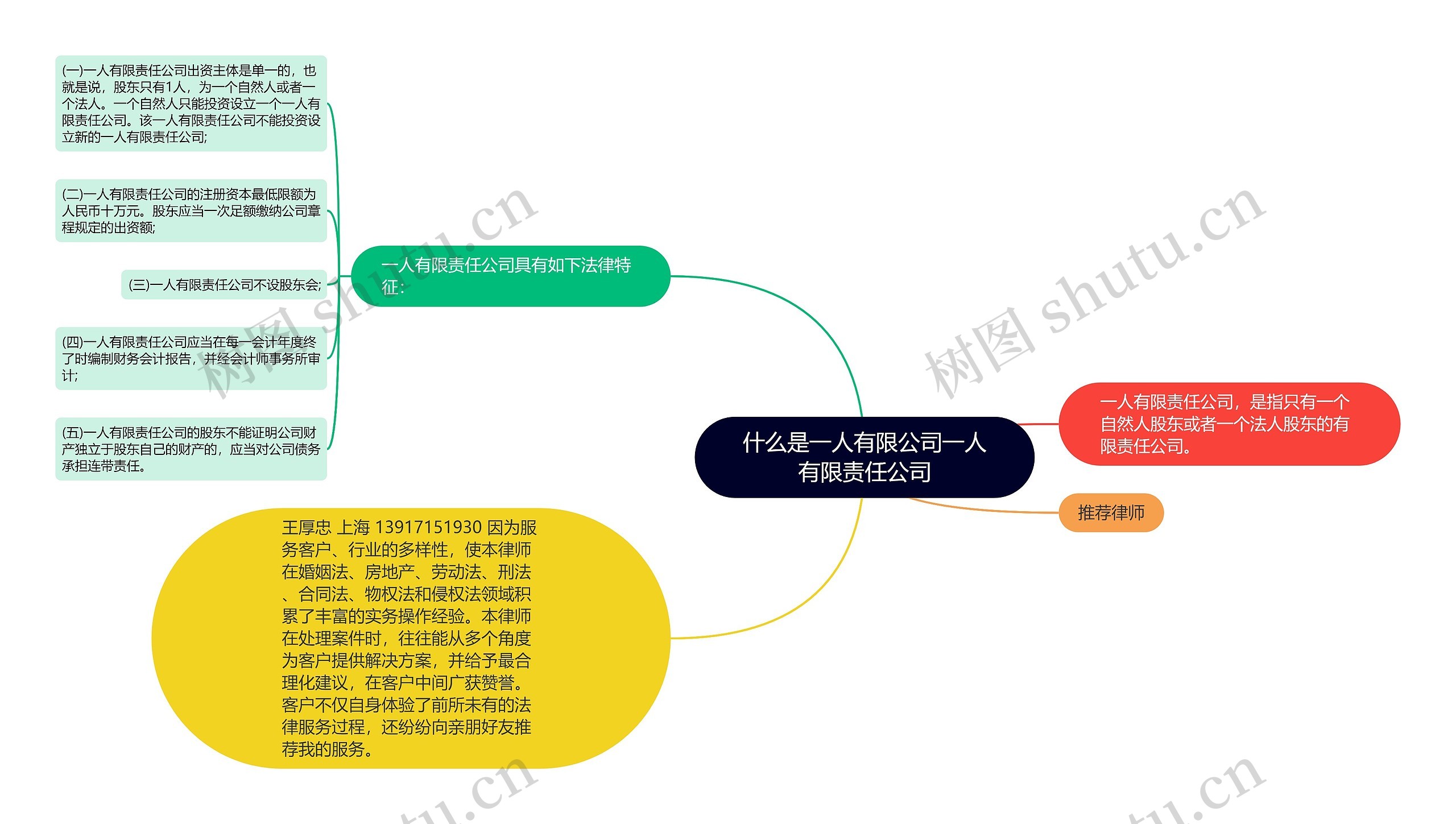 什么是一人有限公司一人有限责任公司