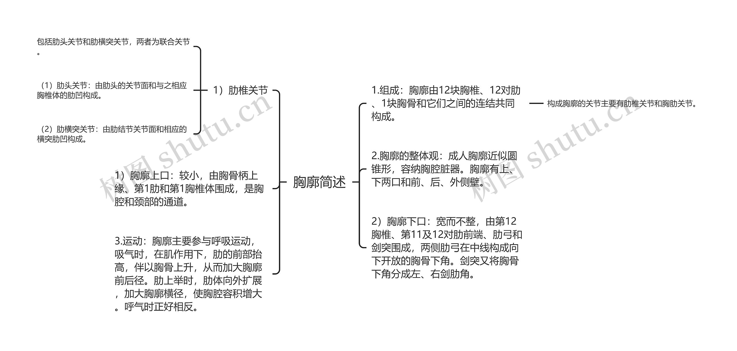 胸廓简述思维导图