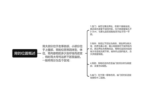 胃的位置概述