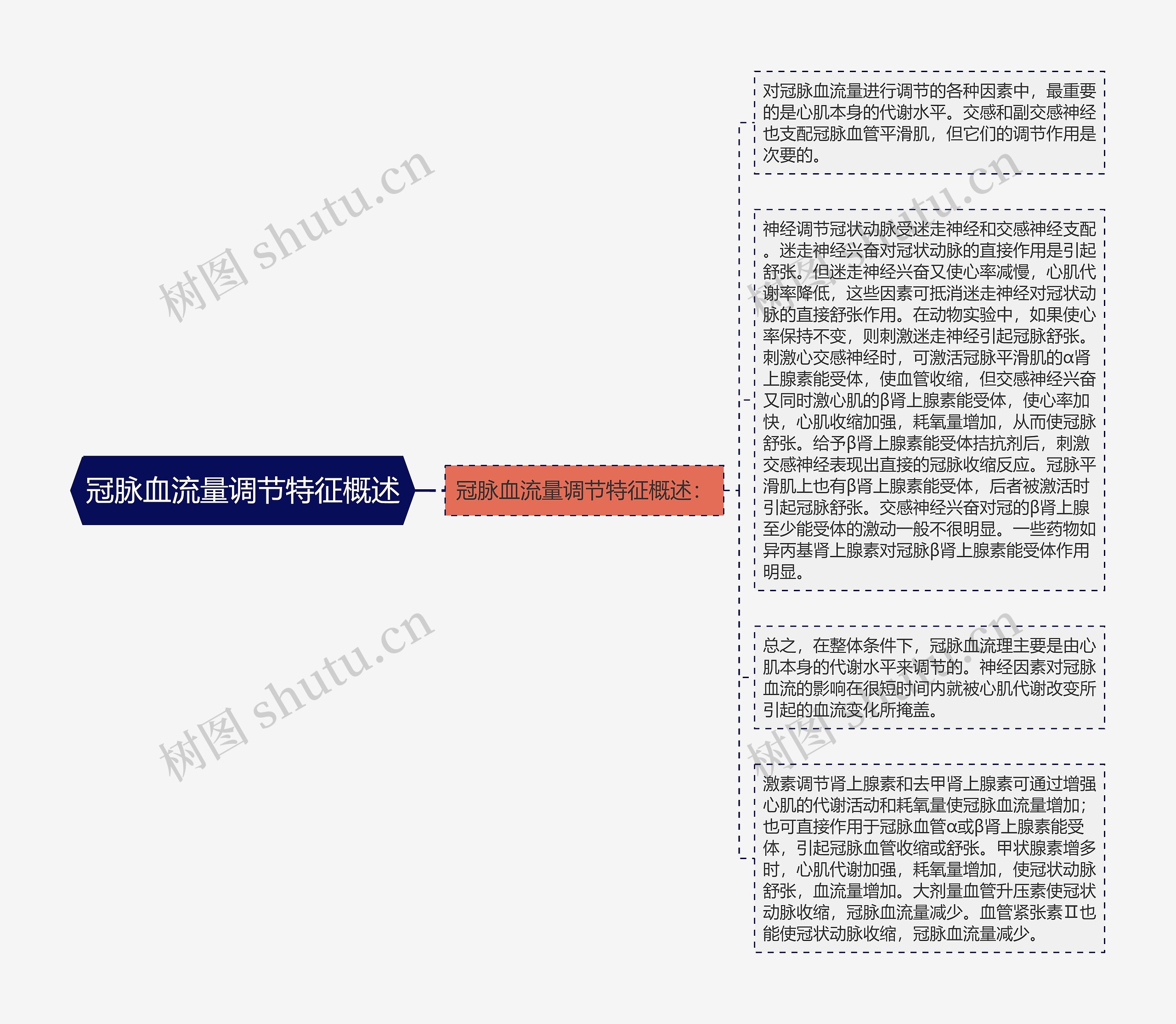 冠脉血流量调节特征概述思维导图