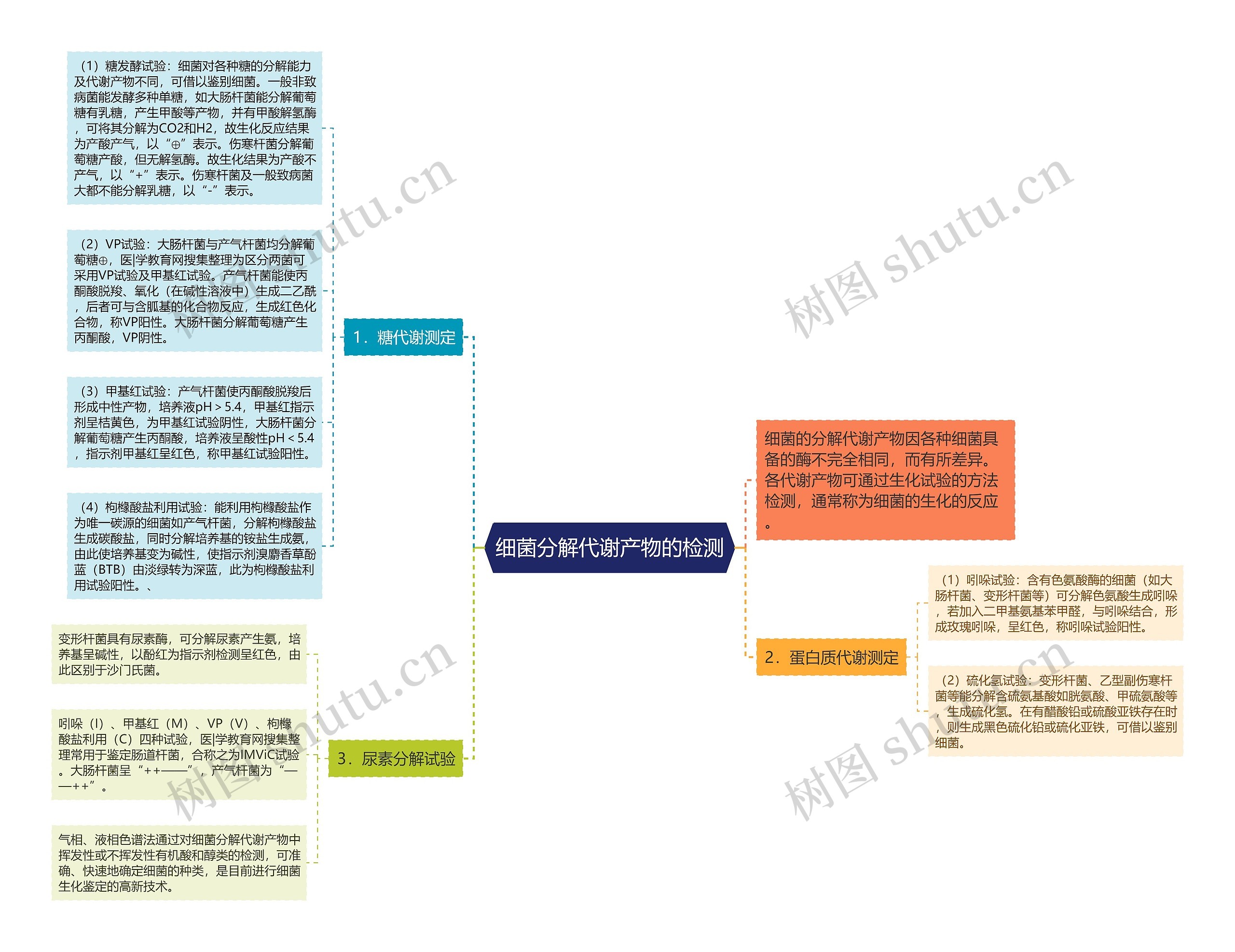 细菌分解代谢产物的检测思维导图