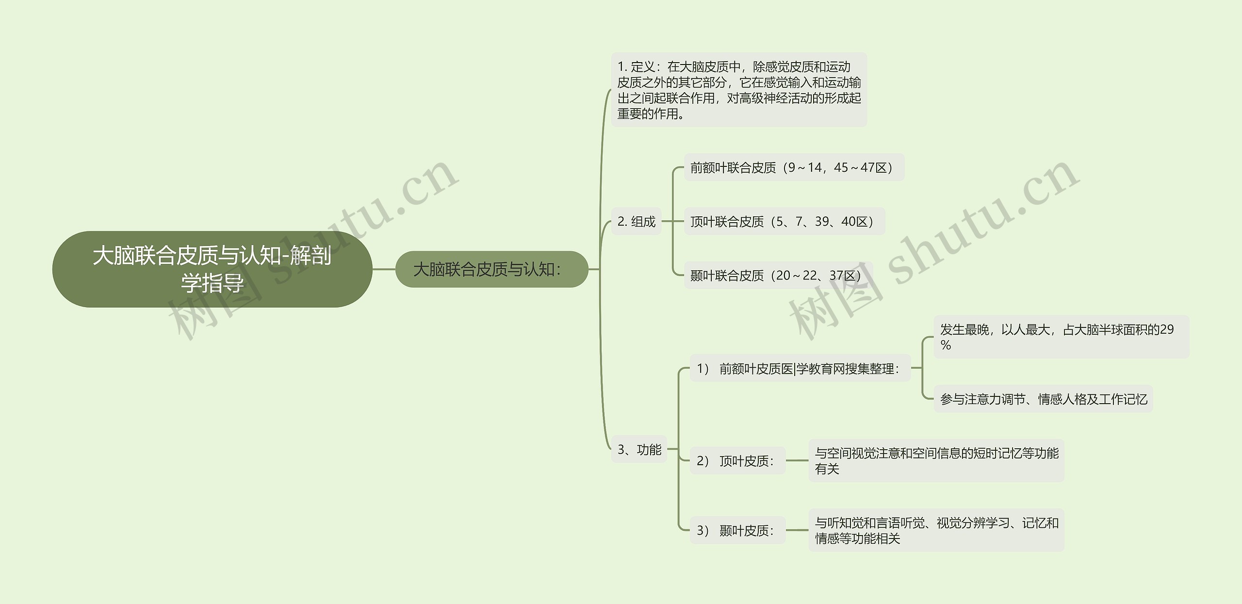 大脑联合皮质与认知-解剖学指导思维导图