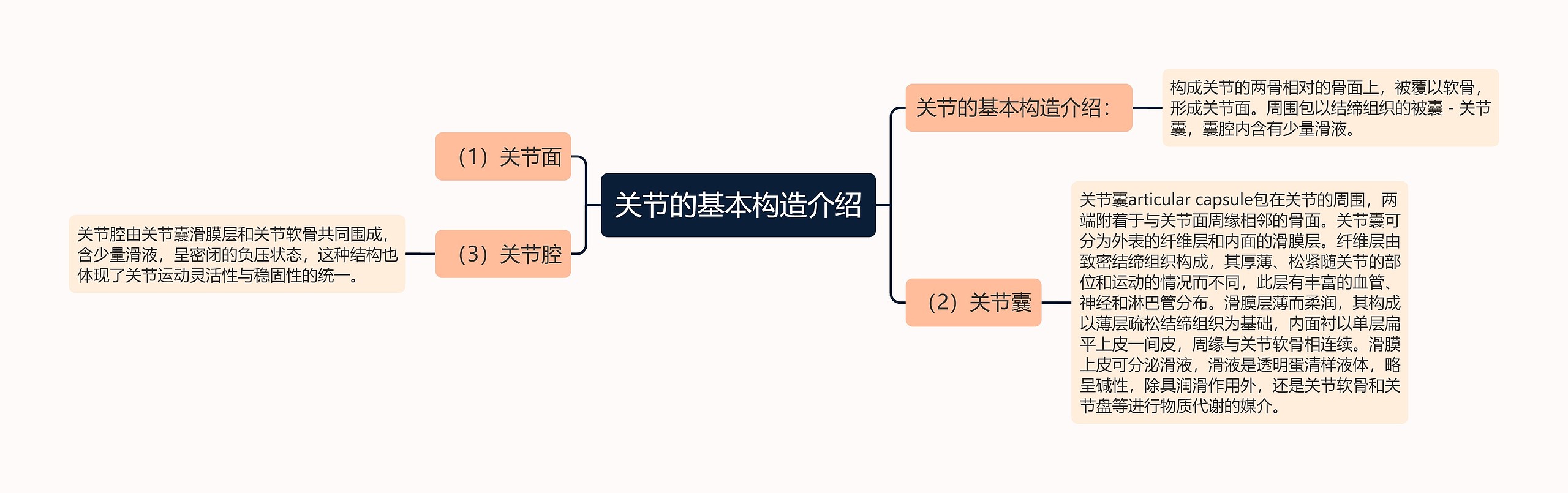 关节的基本构造介绍