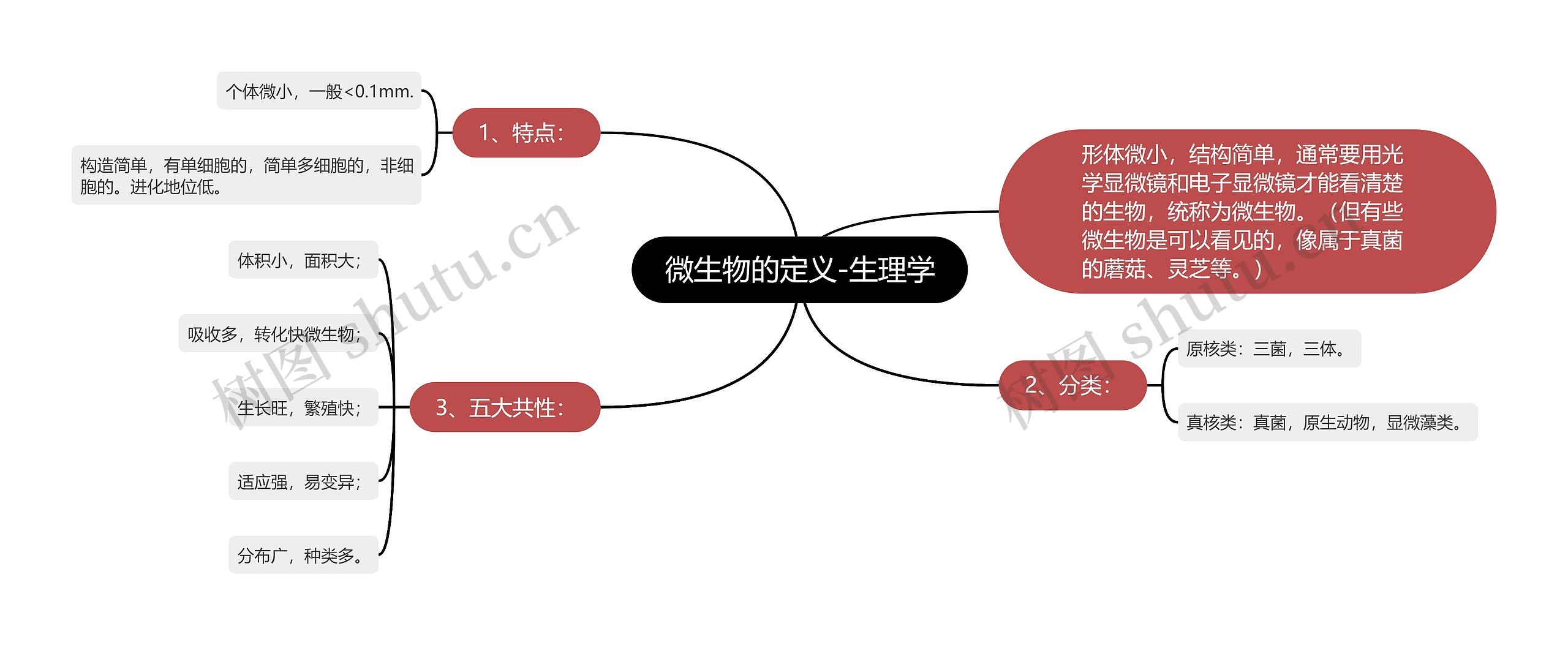 微生物的定义-生理学思维导图