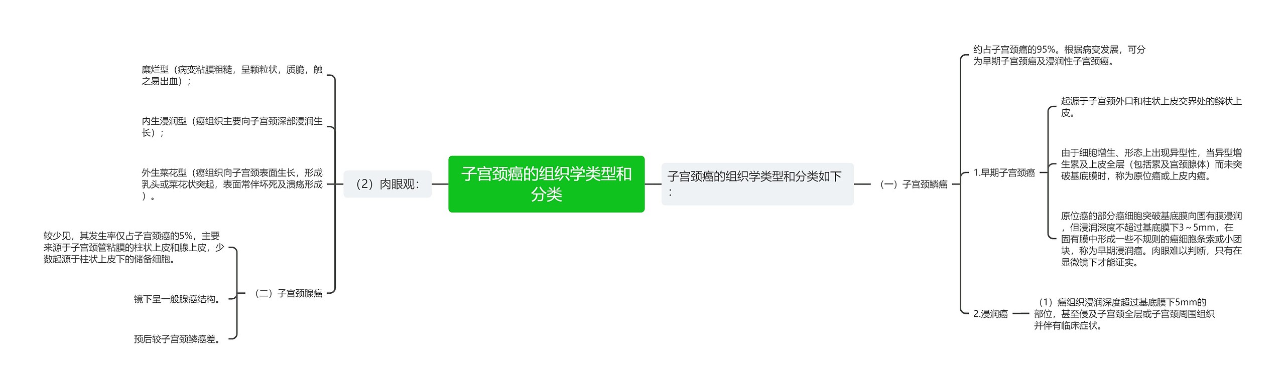 子宫颈癌的组织学类型和分类思维导图