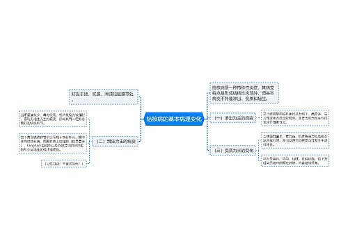 结核病的基本病理变化