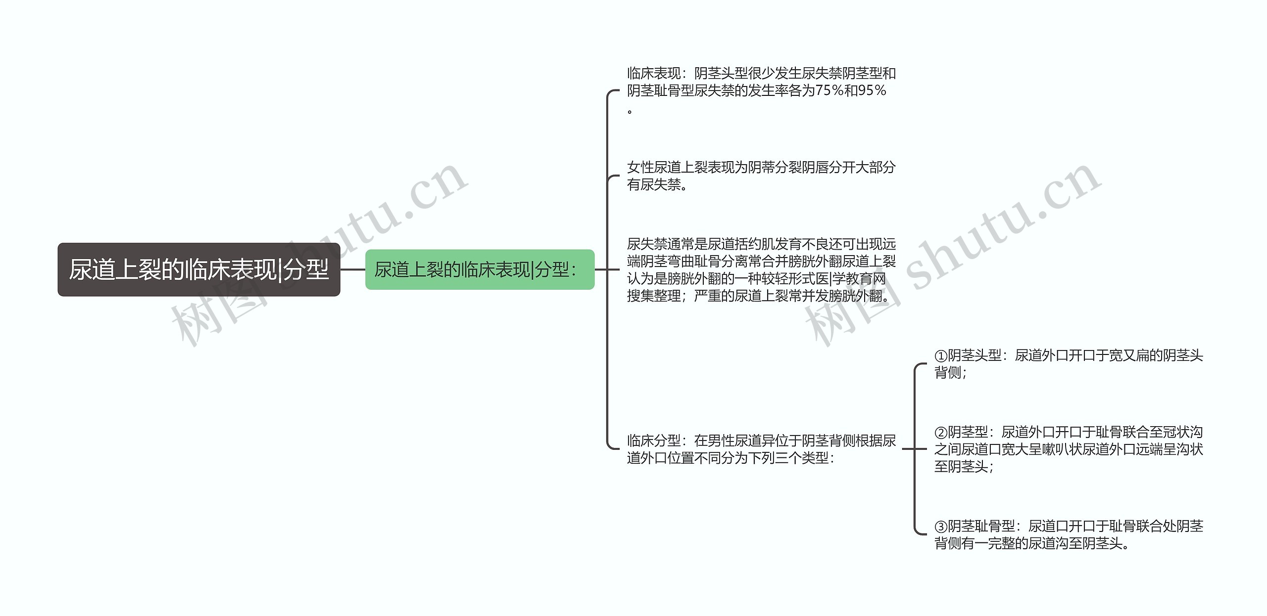 尿道上裂的临床表现|分型思维导图