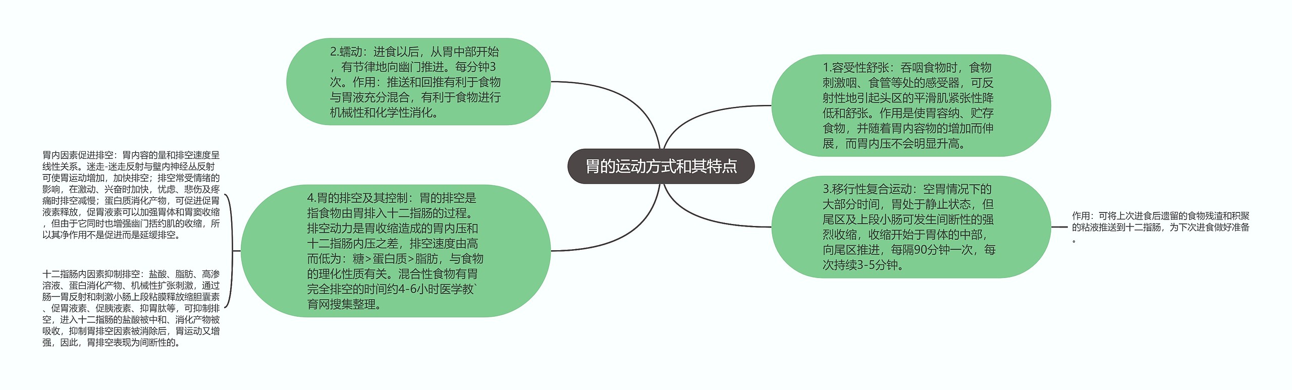 胃的运动方式和其特点思维导图