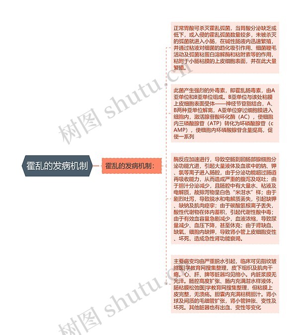 霍乱的发病机制思维导图_编号p7547859-TreeMind树图