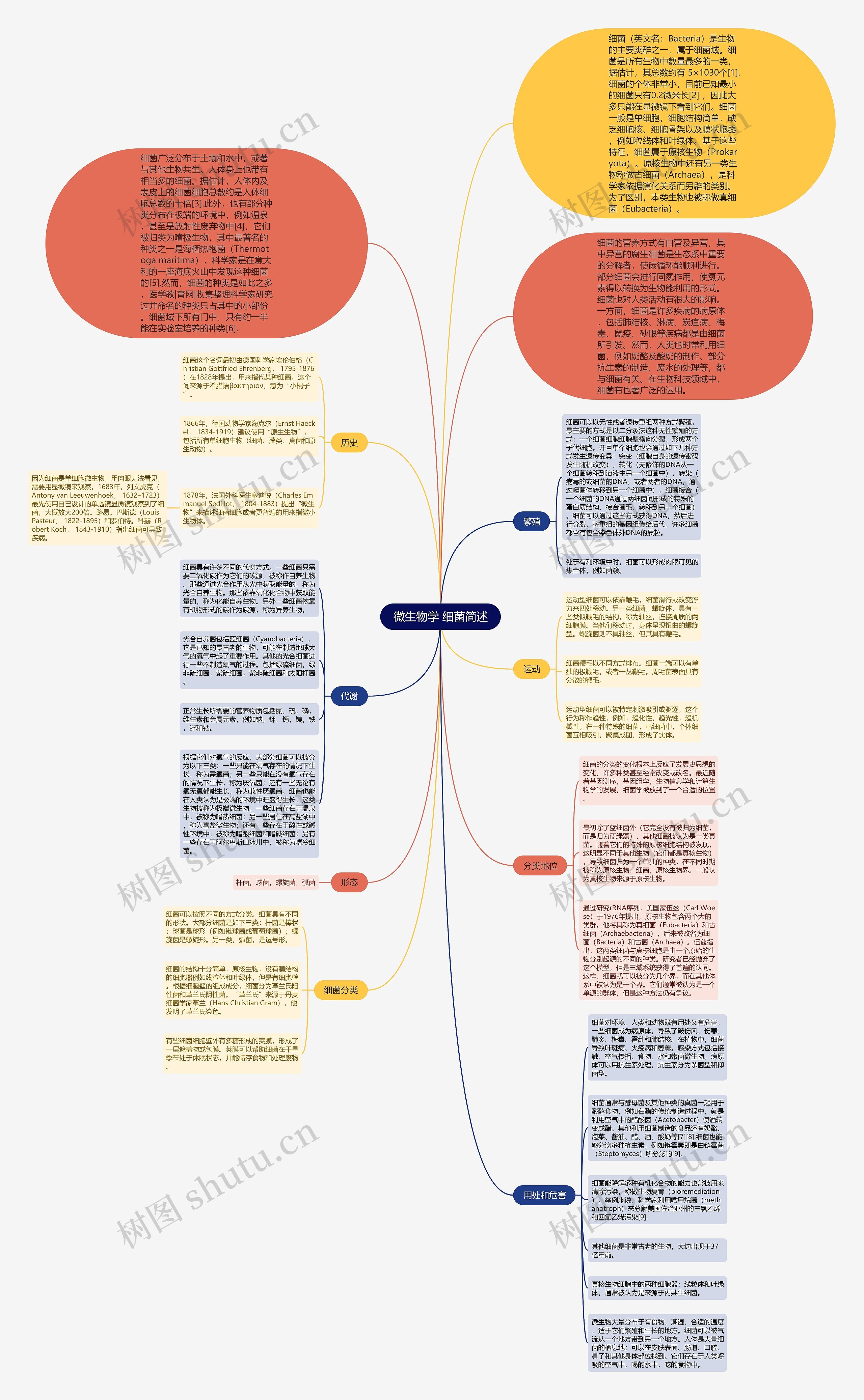微生物学 细菌简述 微生物学 细菌简述