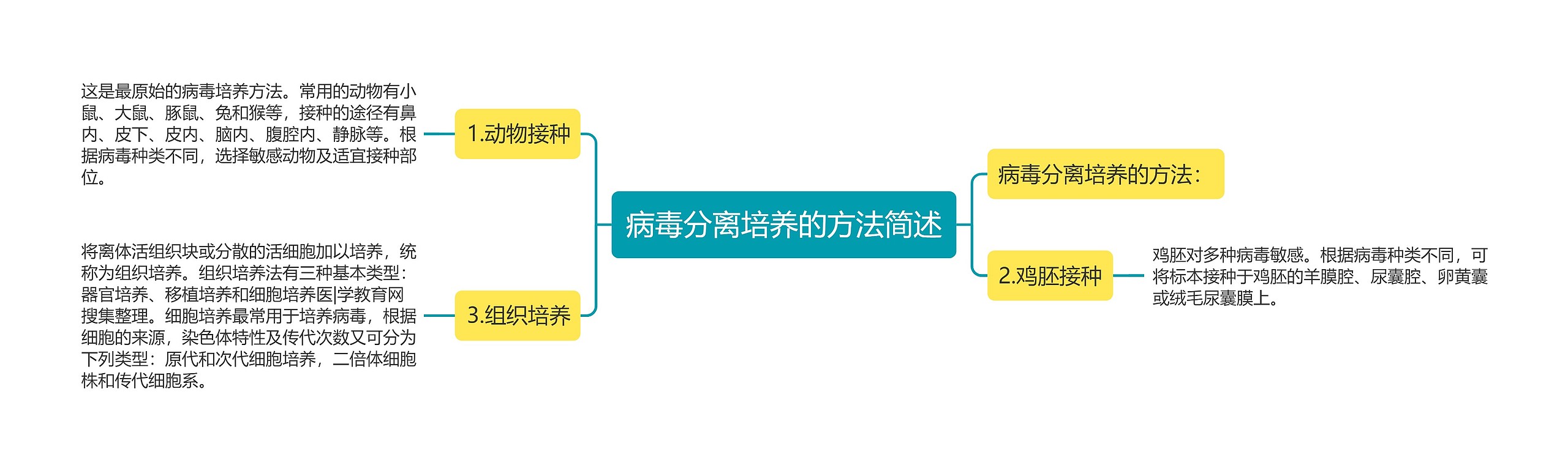 病毒分离培养的方法简述思维导图