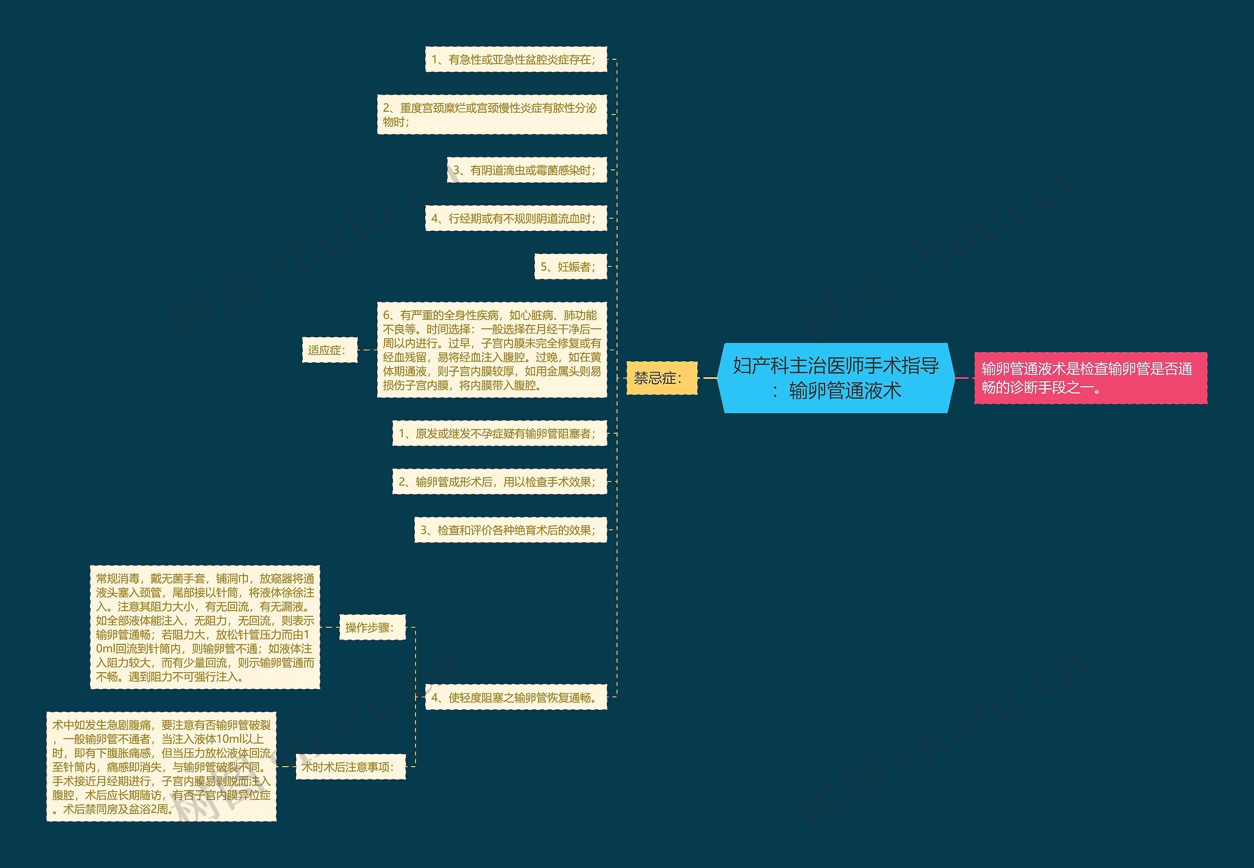 妇产科主治医师手术指导：输卵管通液术思维导图