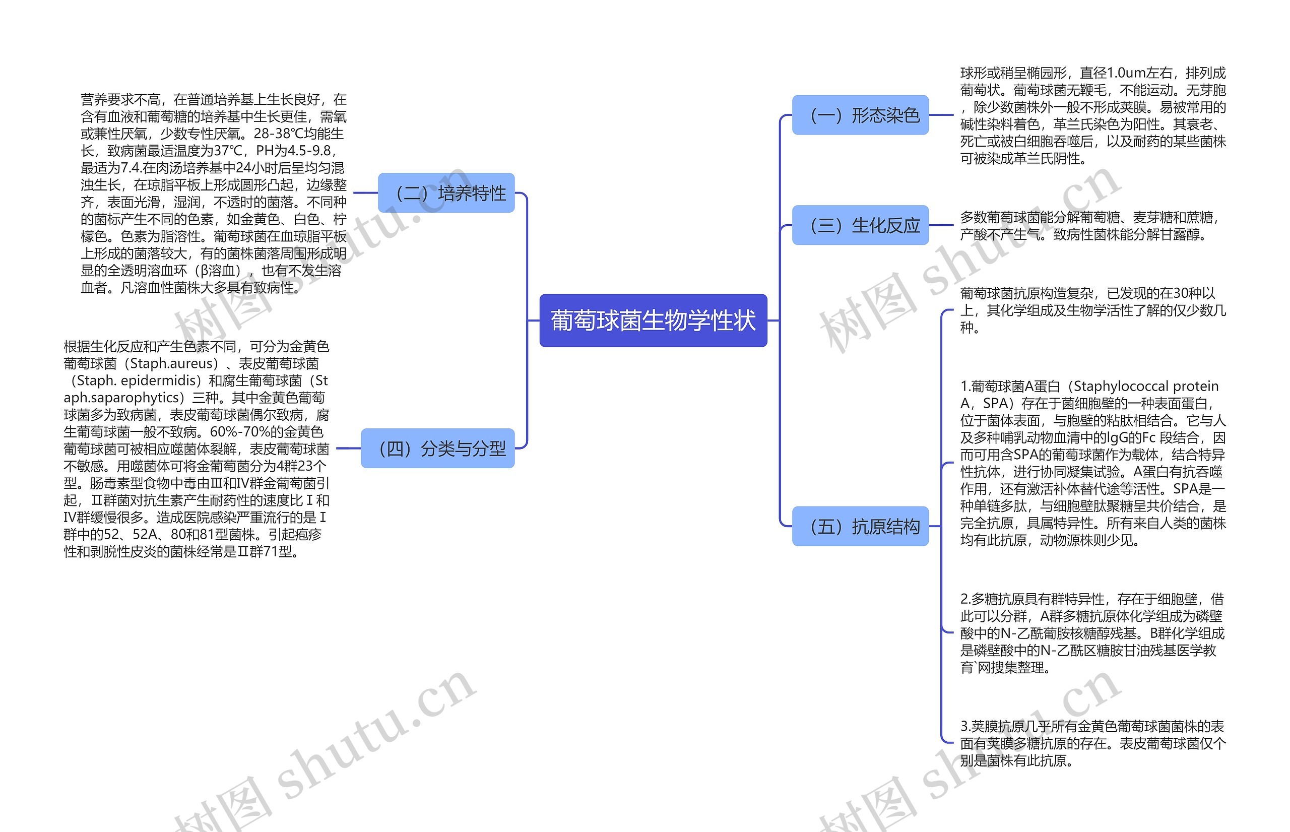 葡萄球菌生物学性状