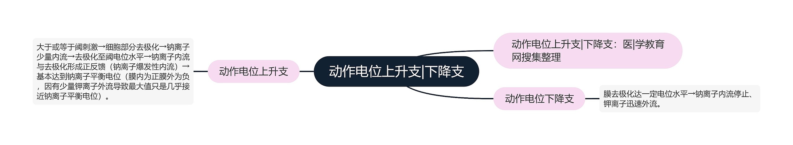 动作电位上升支|下降支