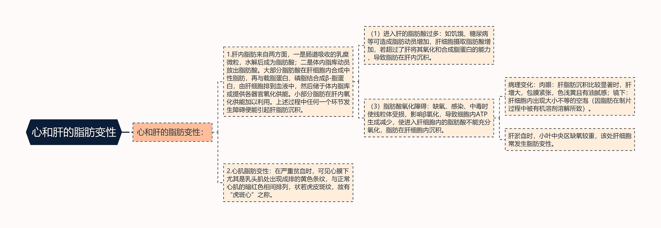 心和肝的脂肪变性 心和肝的脂肪变性
