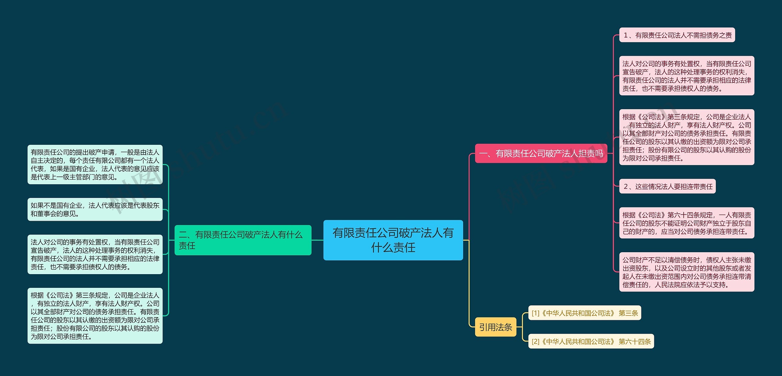 有限责任公司破产法人有什么责任思维导图