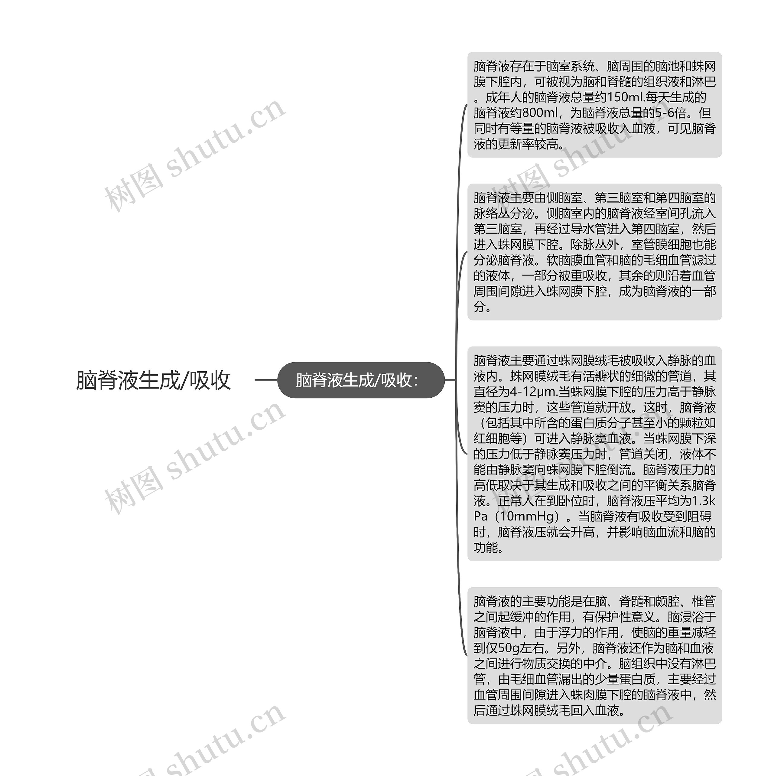 脑脊液生成/吸收