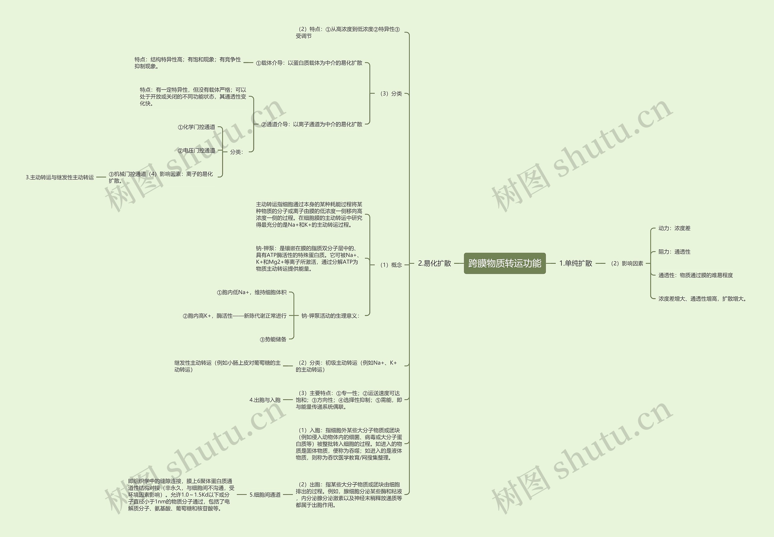 跨膜物质转运功能思维导图