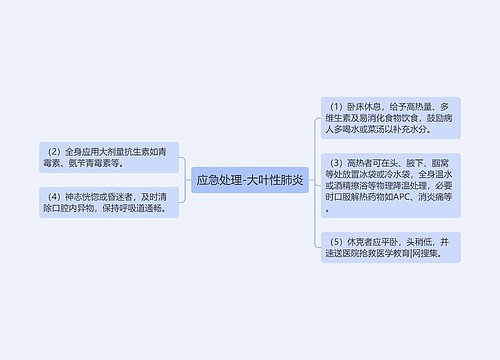 应急处理-大叶性肺炎