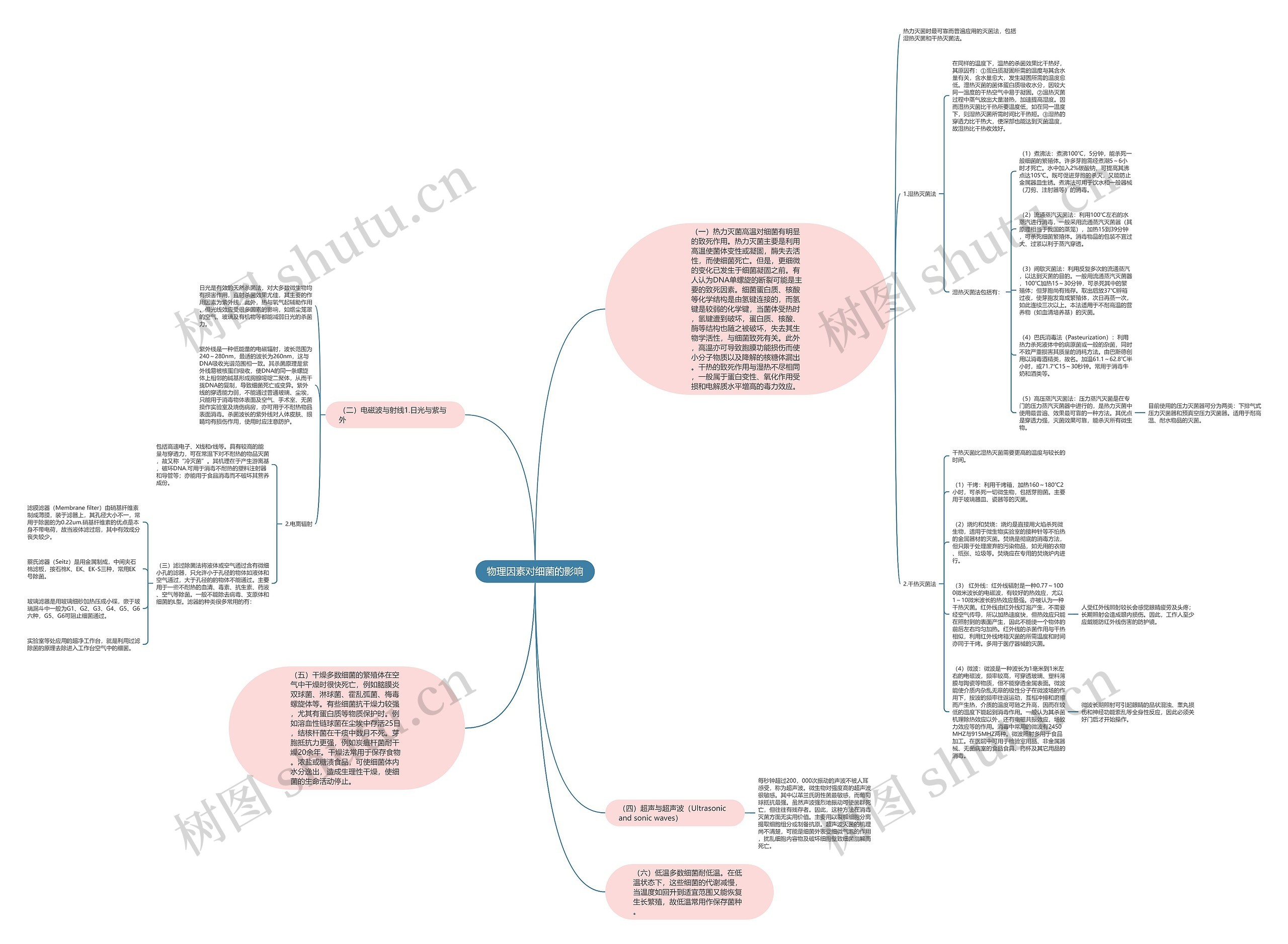 物理因素对细菌的影响思维导图