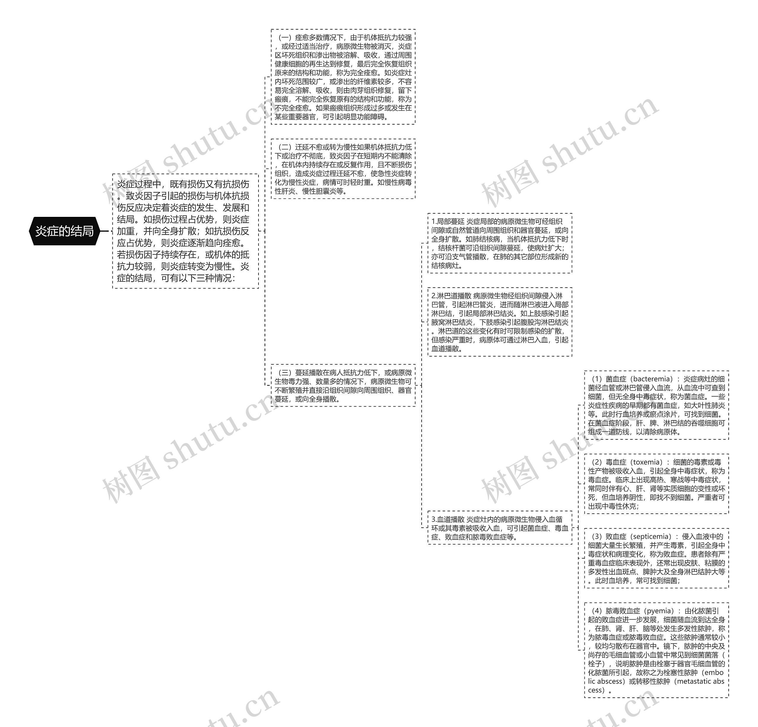 炎症的结局思维导图