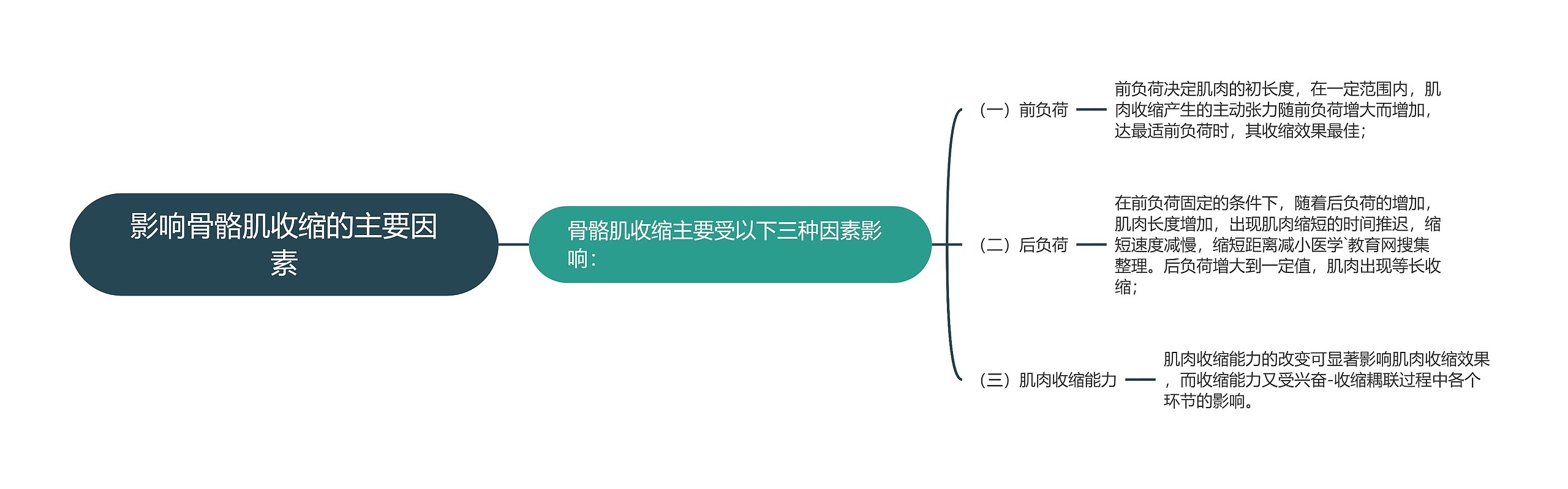 影响骨骼肌收缩的主要因素