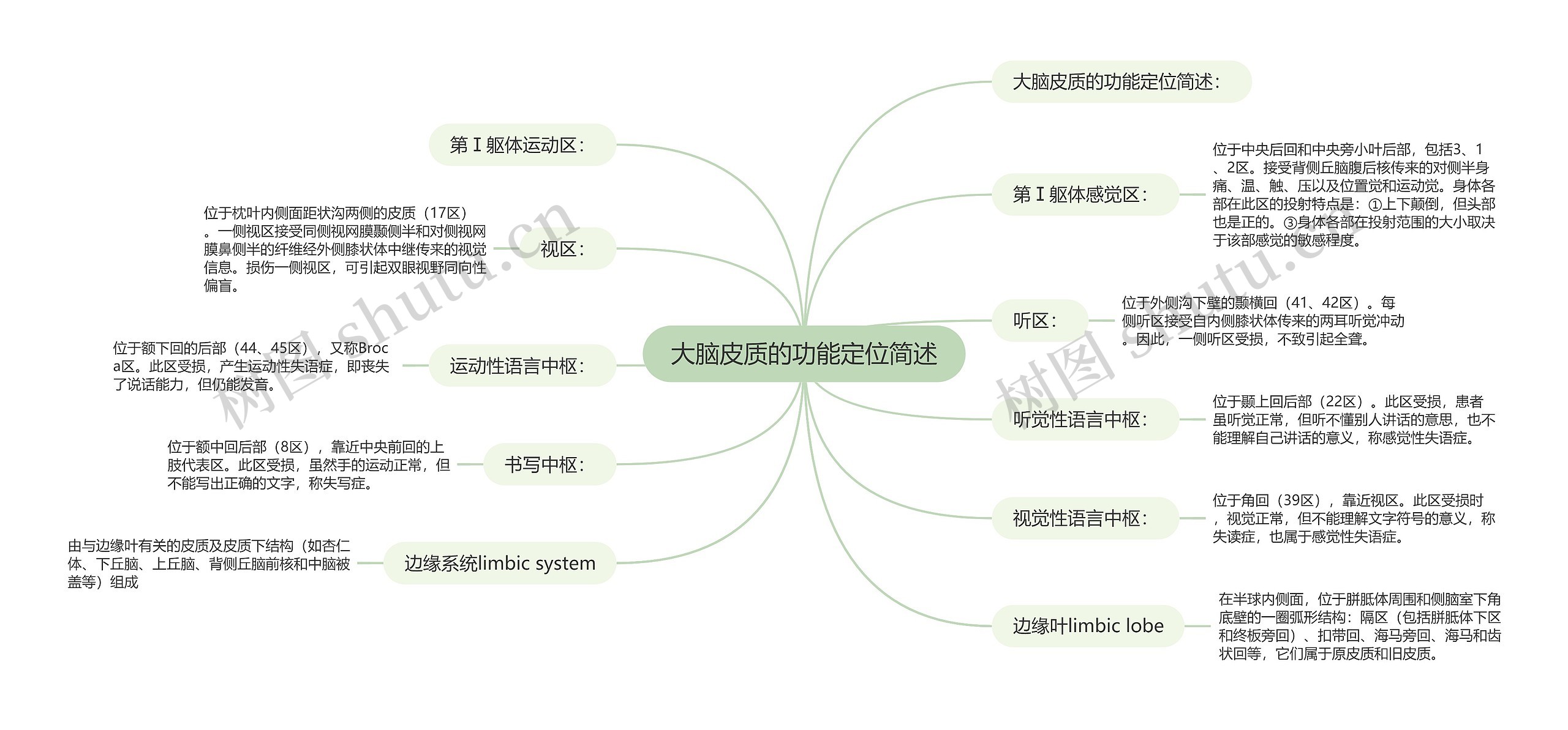 大脑皮质的功能定位简述思维导图