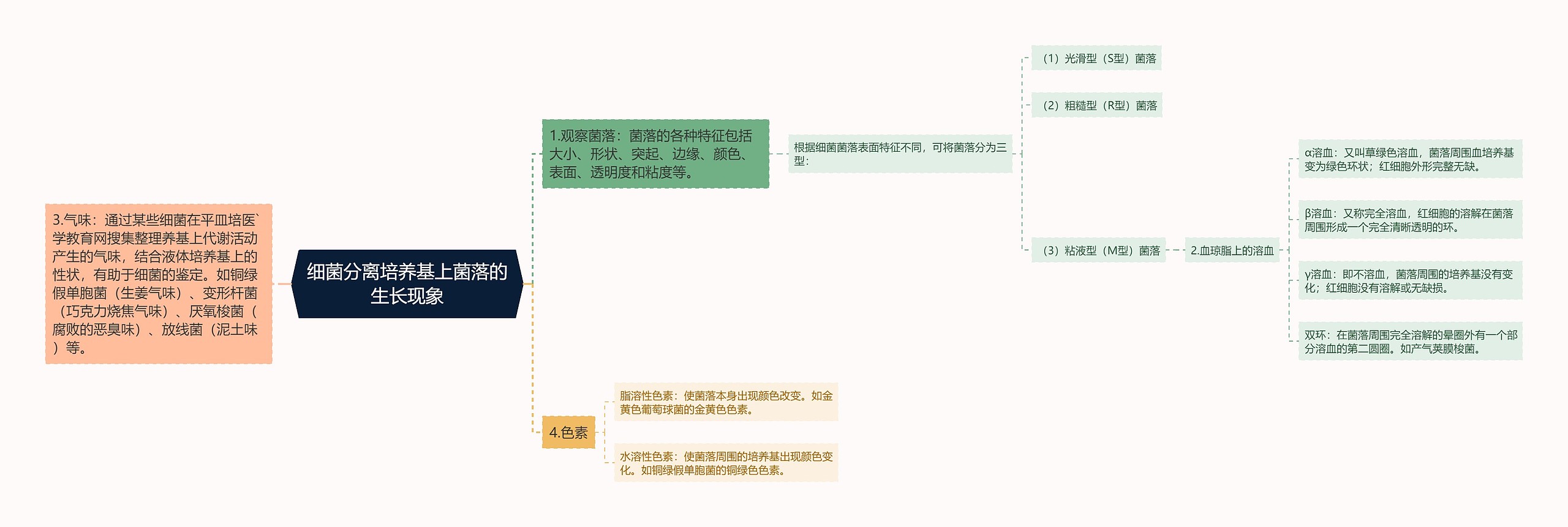 细菌分离培养基上菌落的生长现象思维导图