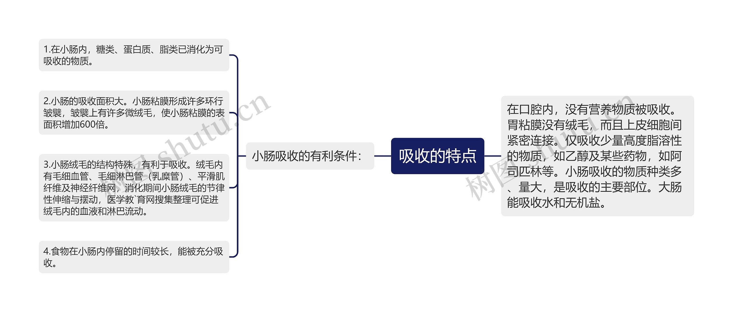 吸收的特点