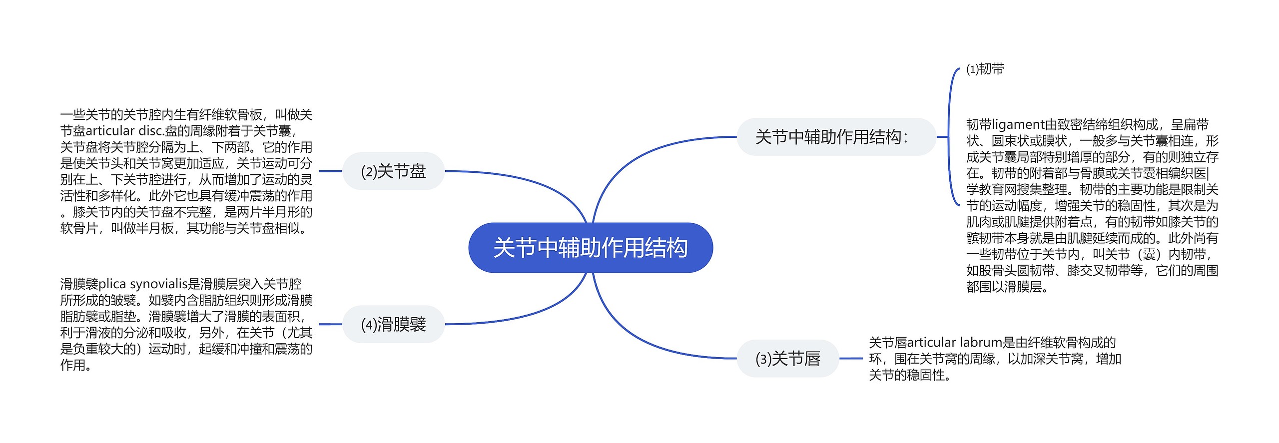 关节中辅助作用结构思维导图