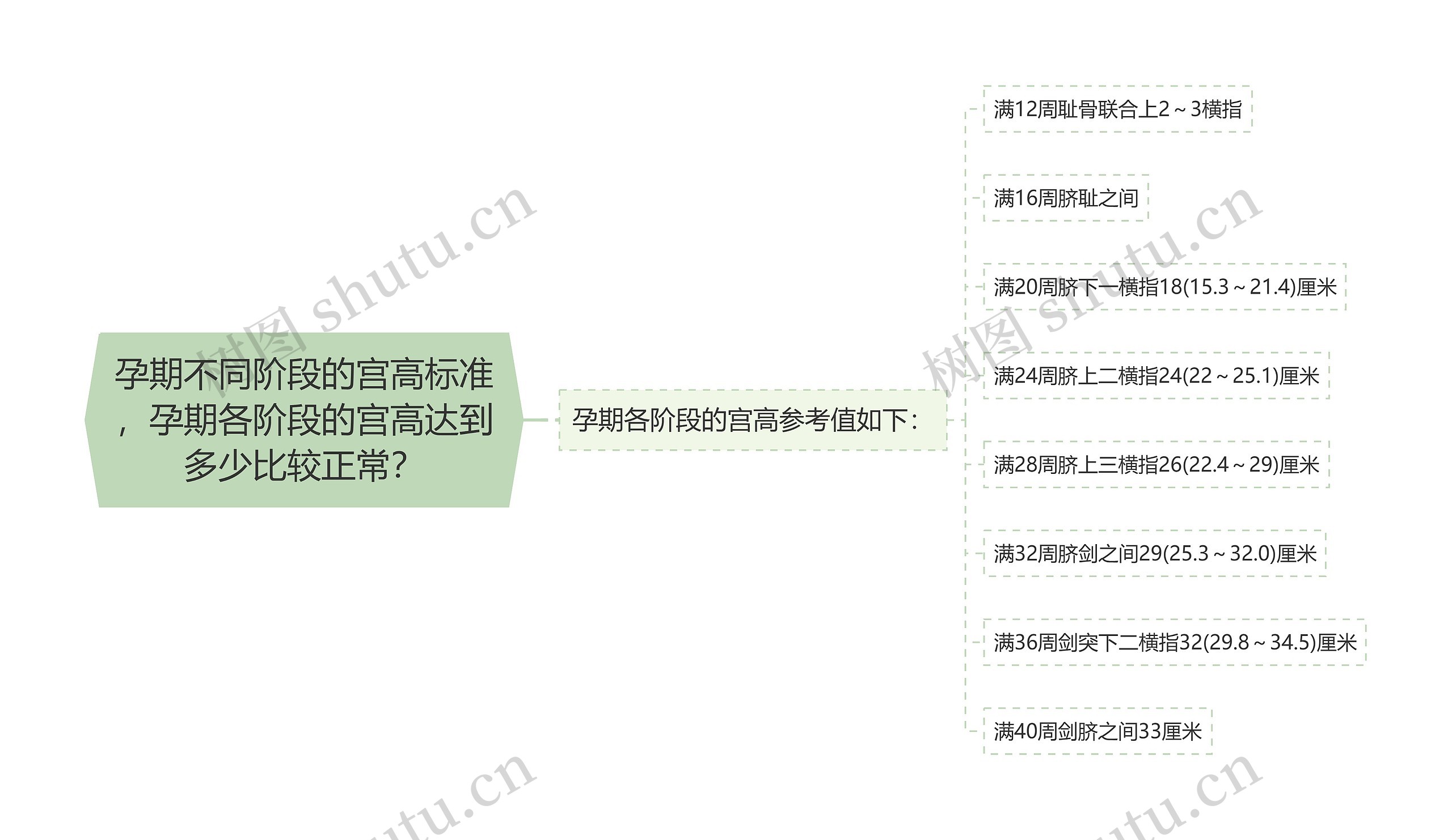 孕期不同阶段的宫高标准，孕期各阶段的宫高达到多少比较正常？思维导图