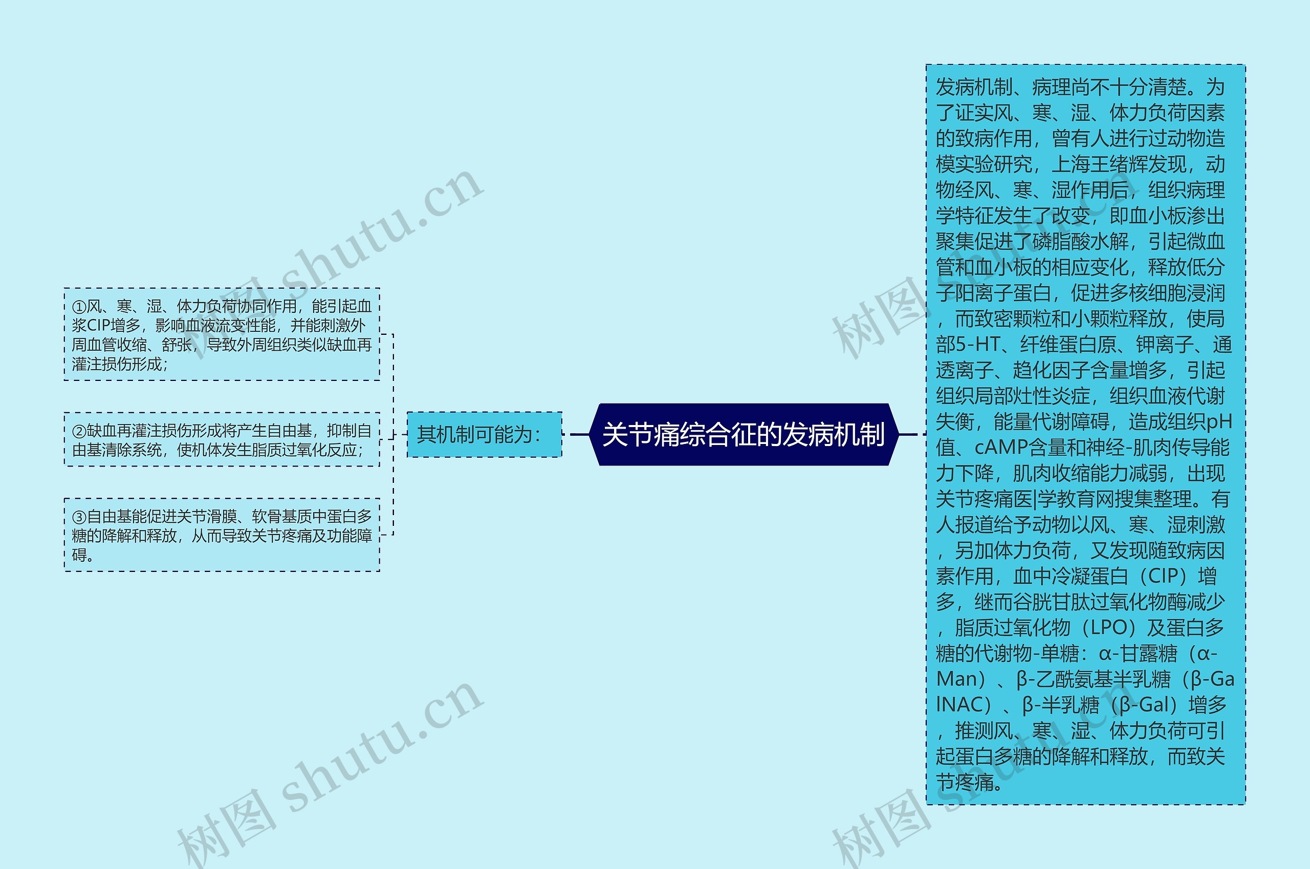 关节痛综合征的发病机制思维导图